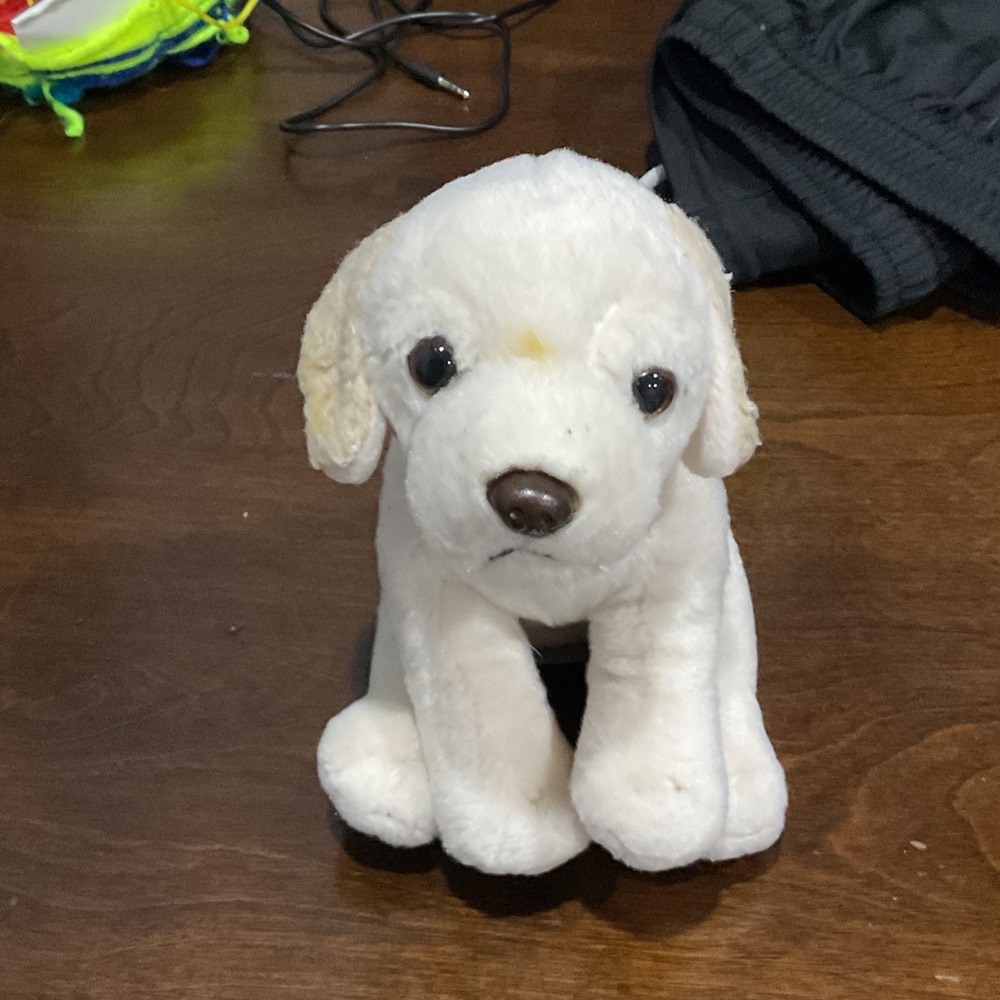 Plush White Dog Toy